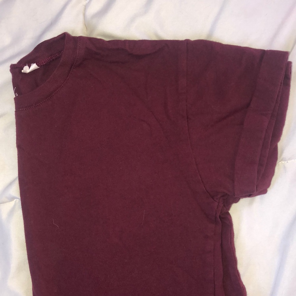 Pacsun cropped t-shirt